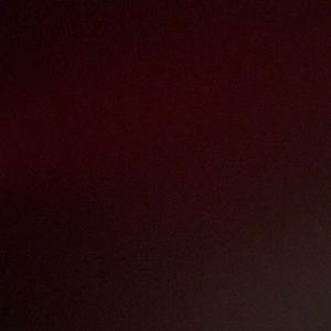 Meet your Posher, Amelia